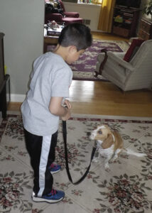 Dog Trainer Baltimore Blog